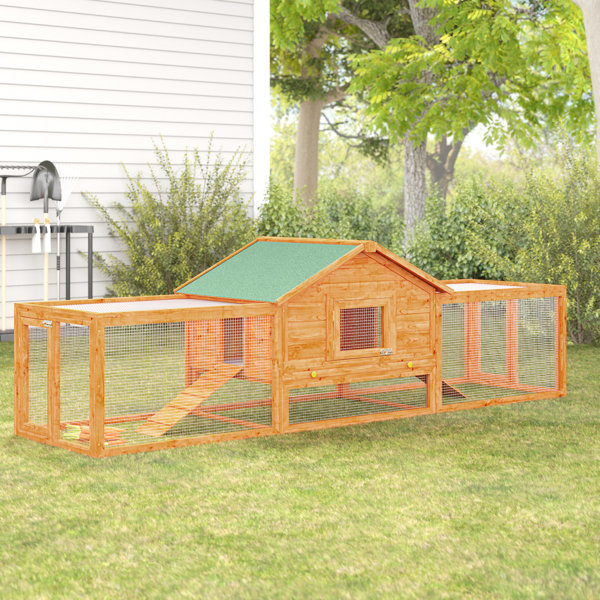 Auggie deluxe rabbit hutch sale chicken coop with chicken run